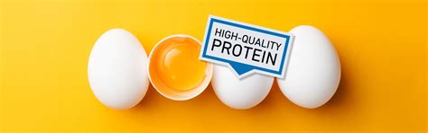 are eggs a high quality protein